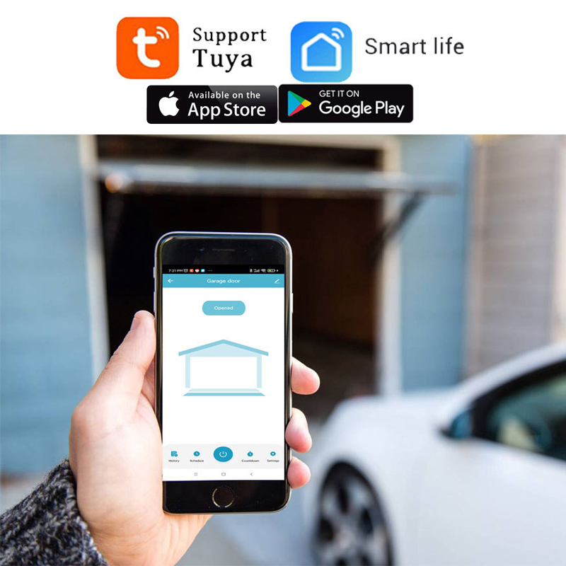 TUYA WIFI 2.4G Smart Garage Do - огляд і ціна Smart Garage Door Opener