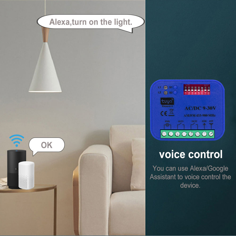 2CH 433-868MHz WiFi Garage Doo - огляд і ціна Smart Garage Door Opener