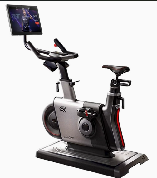 Steel for Bike LCD Display Mag - огляд і ціна Smart Home Display